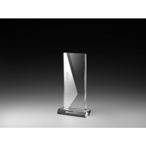 Acrylic Ice Direction Award