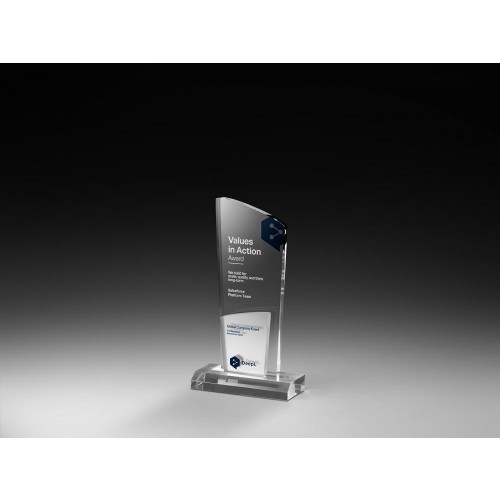 Acrylic Ice Vision Award